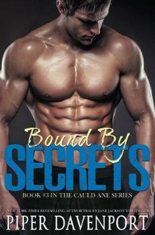 Cover of Bound by Secrets