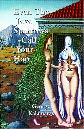 Book cover for Even the Java Sparrows Call Your Hair