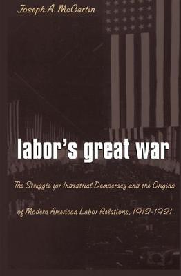 Book cover for Labor's Great War