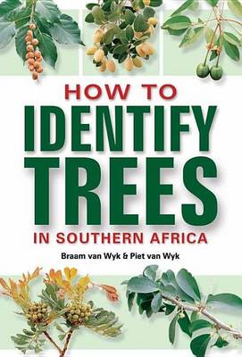 Book cover for How to Identify Trees