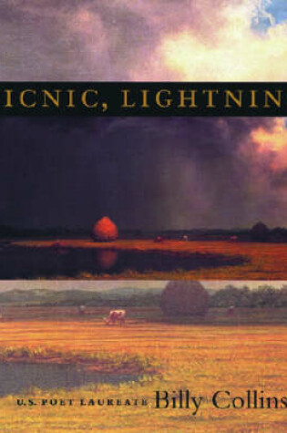 Cover of Picnic, Lightning