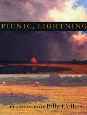 Book cover for Picnic, Lightning