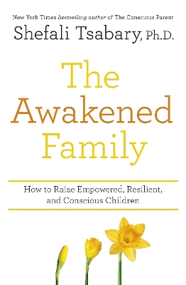 Book cover for The Awakened Family