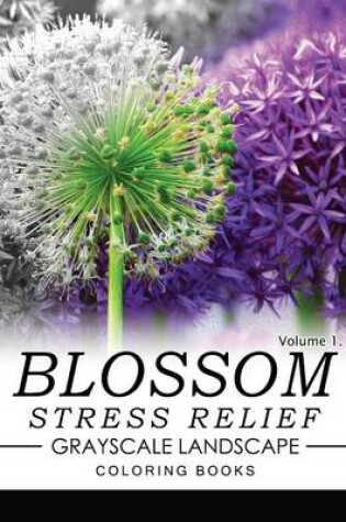 Cover of Blossom Stress Relief Grayscale Landscape Coloring Books Volume 1