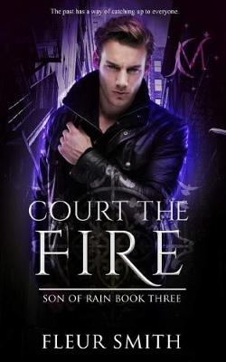 Book cover for Court the Fire