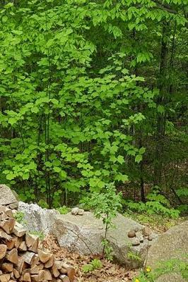 Cover of Journal Springtime Leaves Woodpile