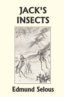 Book cover for Jack's Insects (Yesterday's Classics)