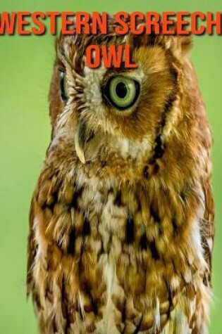 Cover of Western Screech Owl