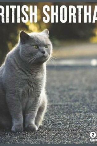 Cover of British Shorthair