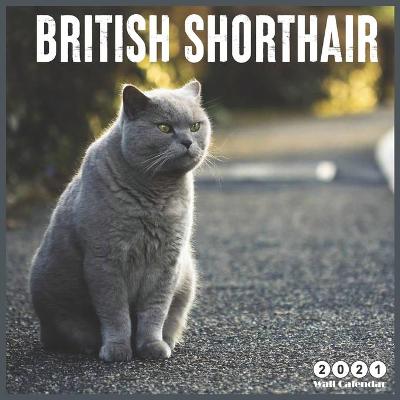 Book cover for British Shorthair