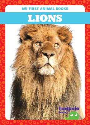 Cover of Lions