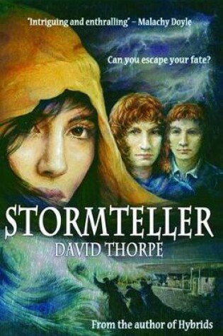 Cover of Stormteller