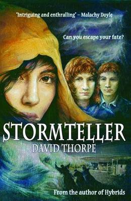 Book cover for Stormteller