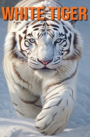 Cover of White Tiger