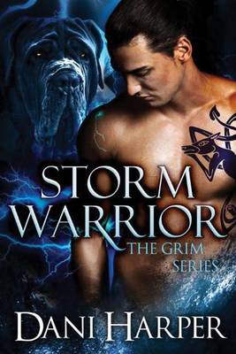 Cover of Storm Warrior