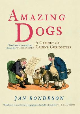 Book cover for Amazing Dogs