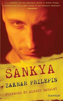 Book cover for Sankya