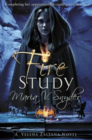 Cover of Fire Study