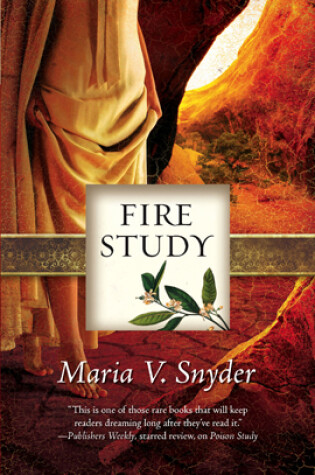 Cover of Fire Study