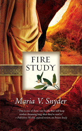 Book cover for Fire Study