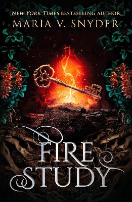 Book cover for Fire Study