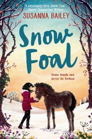 Cover of Snow Foal
