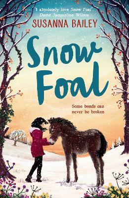 Book cover for Snow Foal