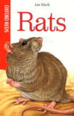 Cover of Rats