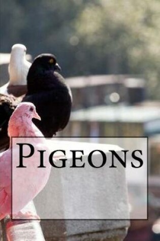 Cover of Pigeons