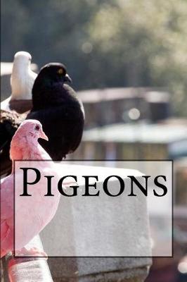 Book cover for Pigeons