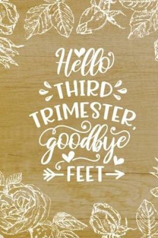 Cover of Hello third trimester goodbye feet