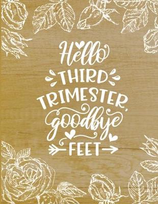 Book cover for Hello third trimester goodbye feet