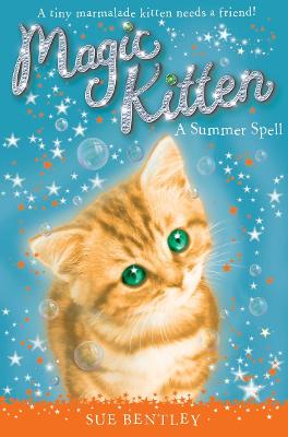 Book cover for A Summer Spell