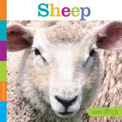 Book cover for Seedlings: Sheep