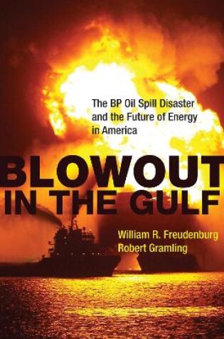 Cover of Blowout in the Gulf