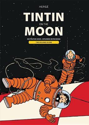 Book cover for Tintin on the Moon