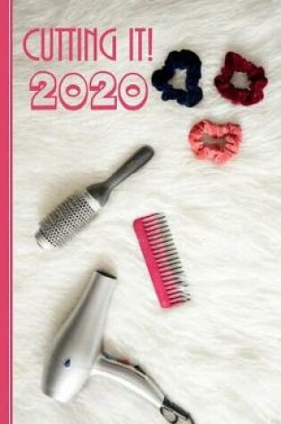 Cover of Hairdresser Appointments Book