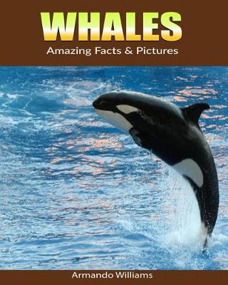 Book cover for Whales