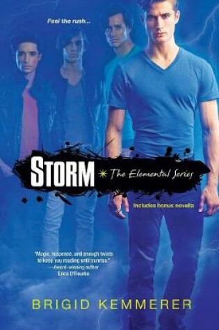 Cover of Storm