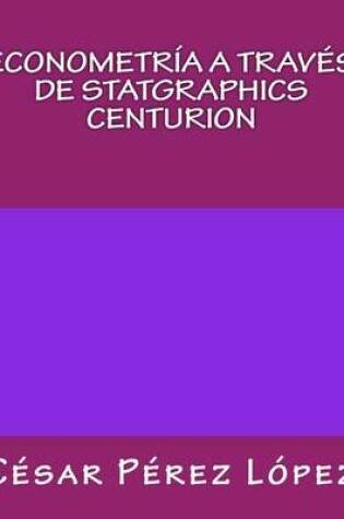Cover of Econometria a Traves de Statgraphics Centurion