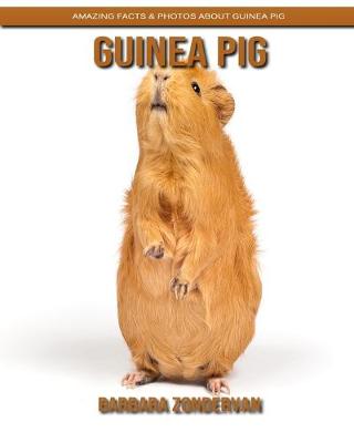 Book cover for Guinea Pig