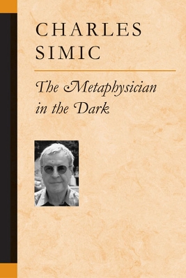 Book cover for The Metaphysician in the Dark