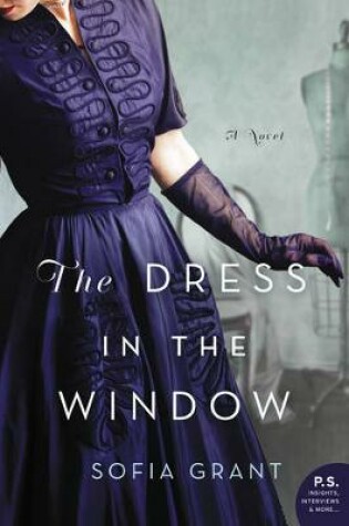 Cover of The Dress in the Window