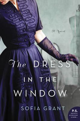 Book cover for The Dress in the Window