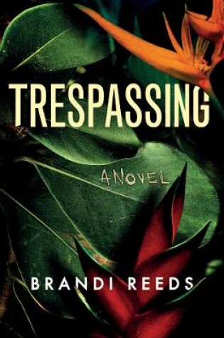 Cover of Trespassing