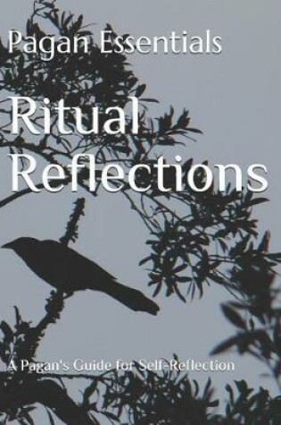 Cover of Ritual Reflections