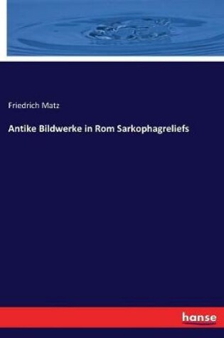 Cover of Antike Bildwerke in Rom Sarkophagreliefs