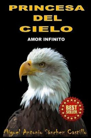 Cover of Princesa del Cielo