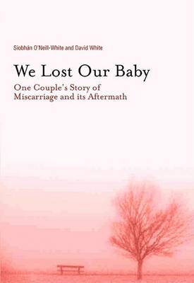 Book cover for We Lost Our Baby