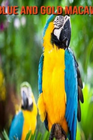 Cover of Blue and Gold Macaw